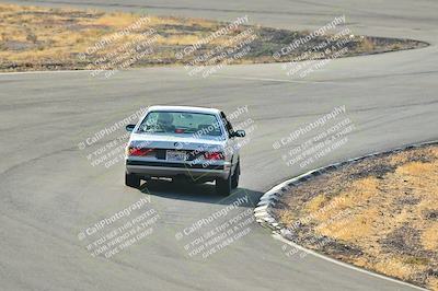 media/Feb-01-2025-Turn8 Trackdays (Sat) [[5681b0f63a]]/Inter 2/Session 1 (Turns 4b and 5)/